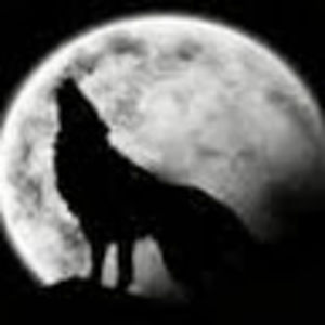 Meet your Posher, Bryan aarón